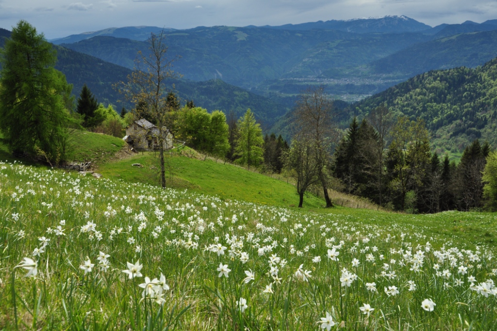 Parco delle Dolomiti Bellunesi